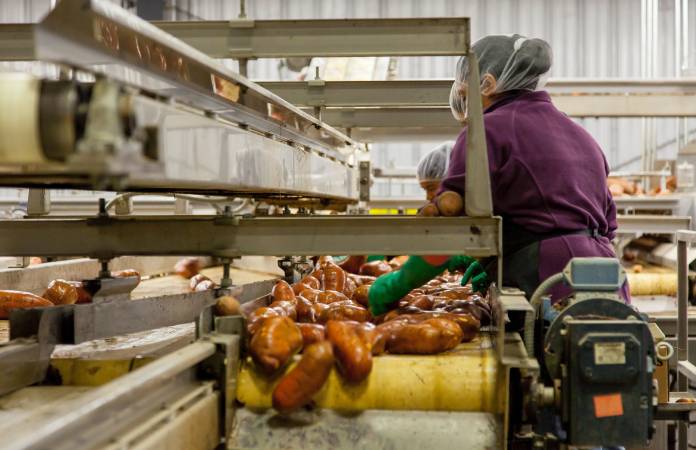 Kinetics and Pathogens of Concern for all Alternative Food Processing Technologies